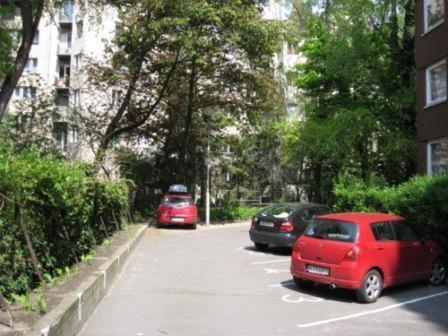 Apartament Young Center *
