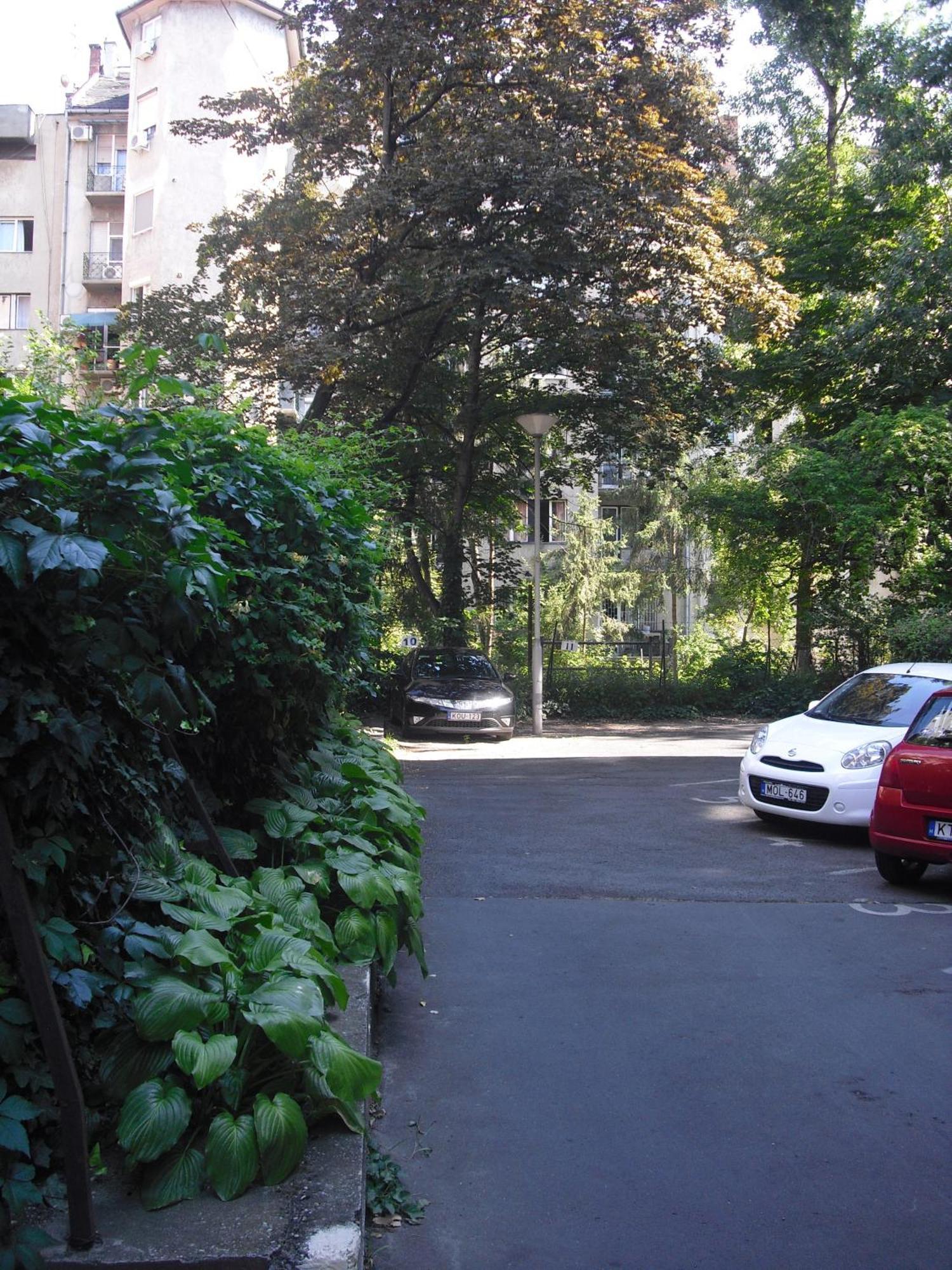 Apartament Young Center *